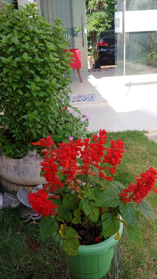 Casal ostara begonia Hotel Alto Paraíso de Goiás Bagian luar foto